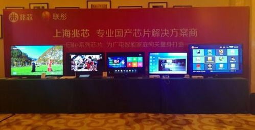 软硬件系统 定义、发展及其技术开发趋势